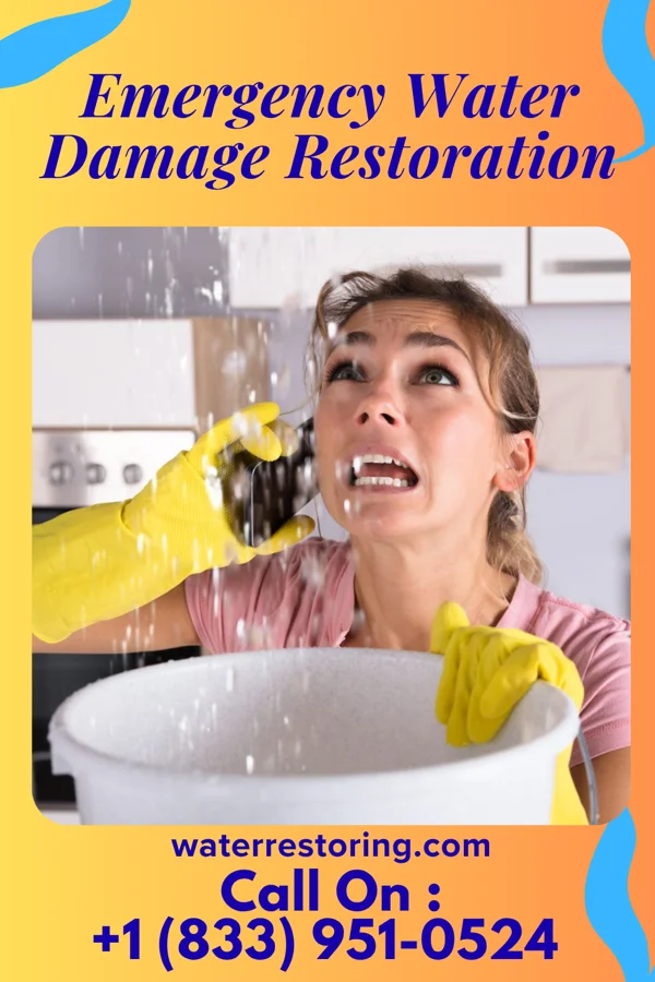 Emergency Water Damage Restoration in Las Palmas II, TX