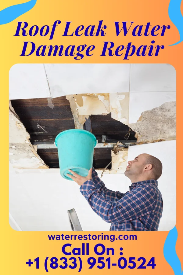 Roof Leak Water Damage Repair in Las Palmas II, TX