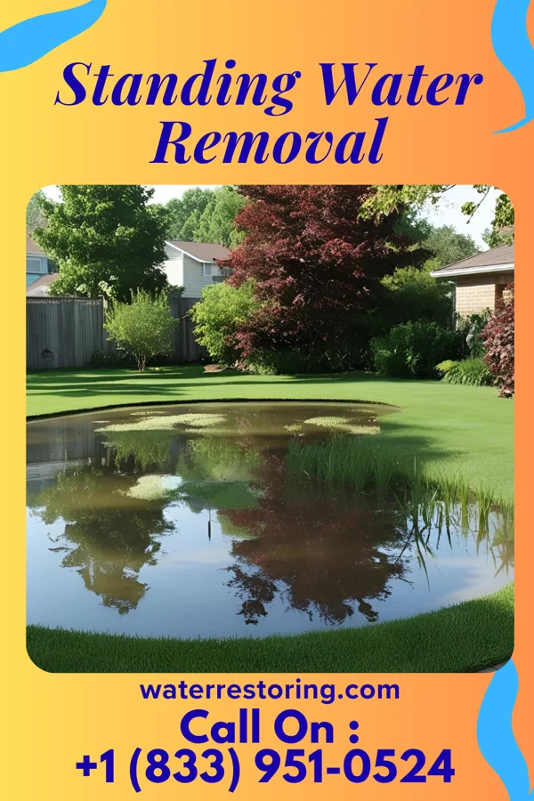 Standing Water Removal in Las Palmas II, TX